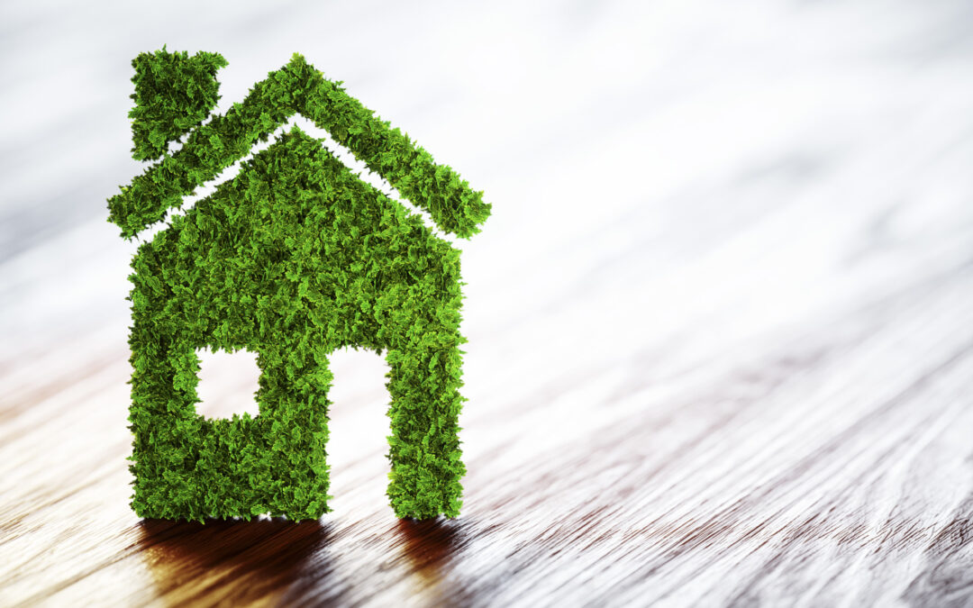 5 Tips for a More Eco-Friendly Home