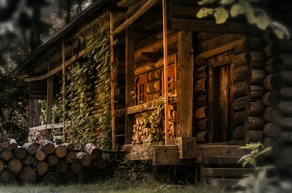 Considering Forest Service? Get Ready for Log Cabin Living