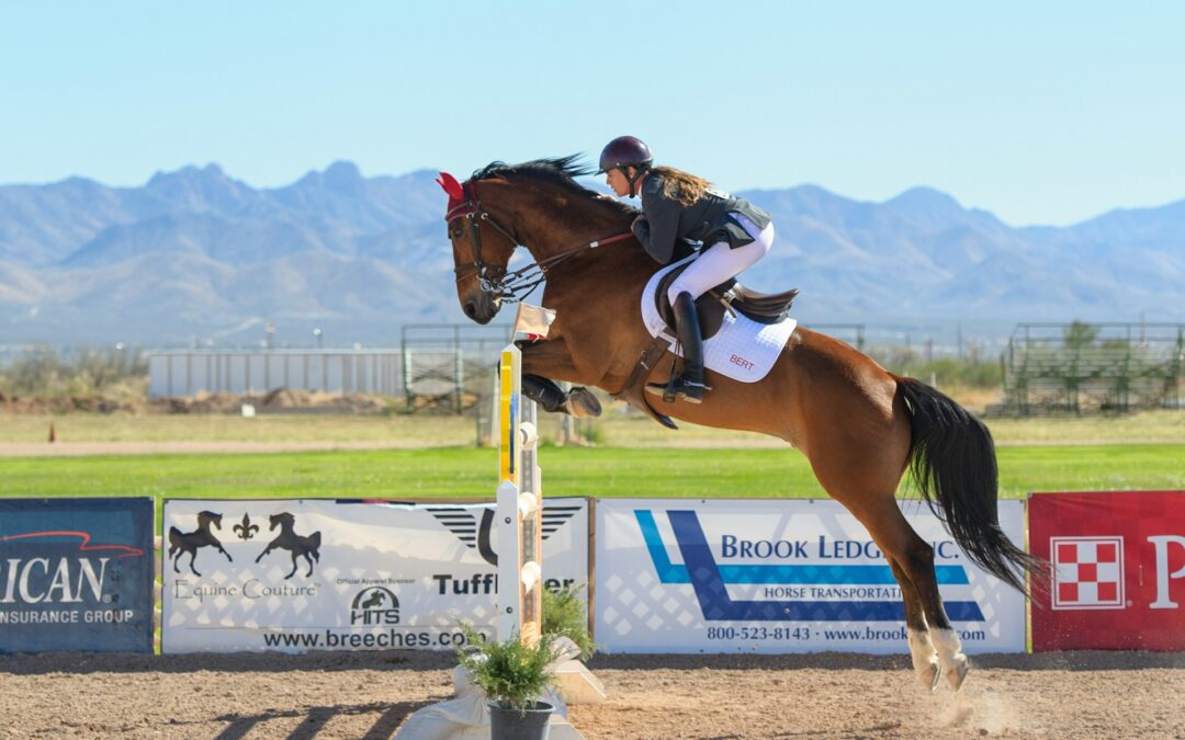 Best Materials for Safe and Durable Horse Jump Equipment