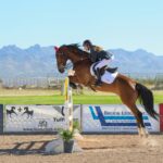 Best Materials for Safe and Durable Horse Jump Equipment